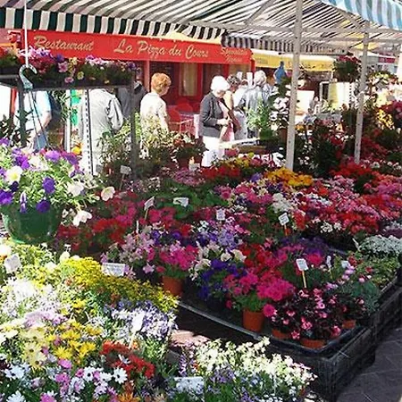 Le Saint Joseph - Old Tow, 2 Appartments In 1